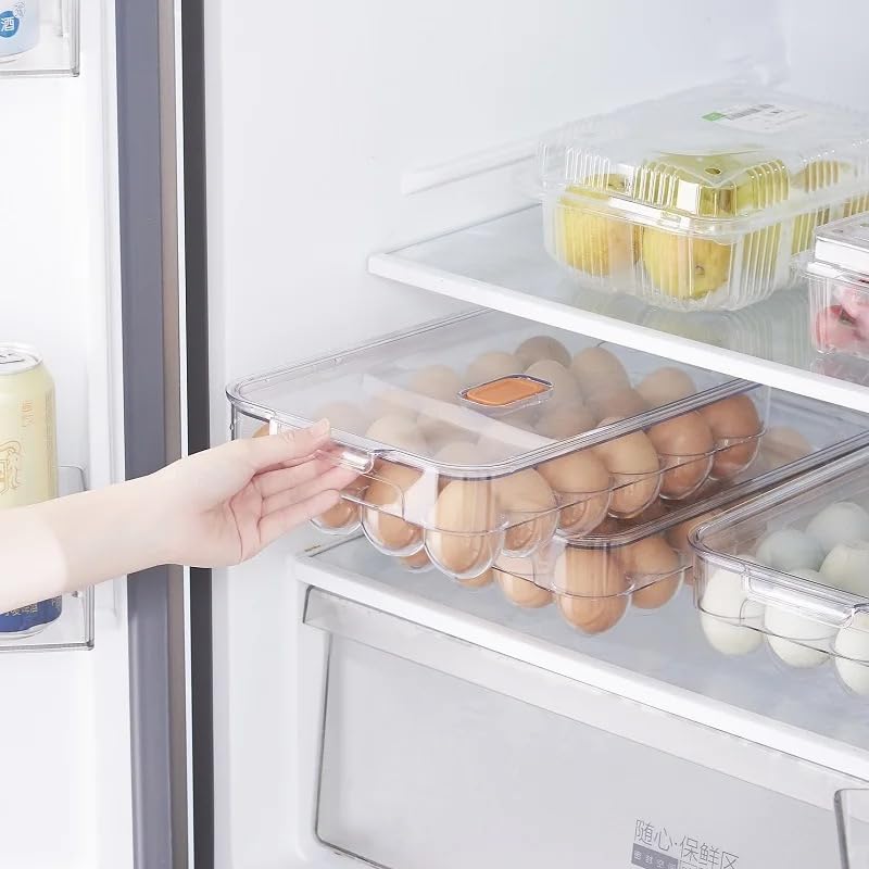 VIO Egg Holder for Refrigerator, Reusable Plastic Egg Organiser, Plastic Egg Storage Container, Clear Stackable Egg Tray with Lid, Clear Fridge Storage Box, Holds 24 Eggs (Clear-Blue Crisper)