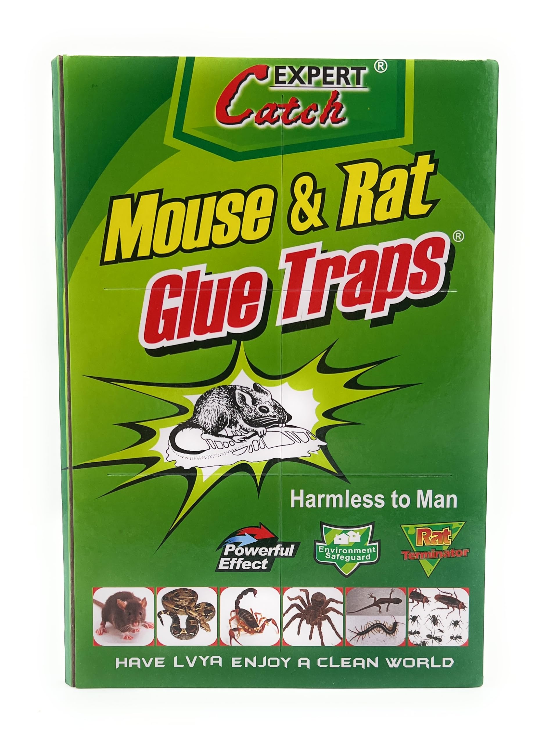 VIO Expert Catch Sticky Glue Trap Board for Rats, Mice, Cockroaches, Spiders, Bugs, Pests, Ants, Non-toxic Eco-Friendly Bugs Pest Catcher for Indoor and Outdoor Use (Pack of 5)