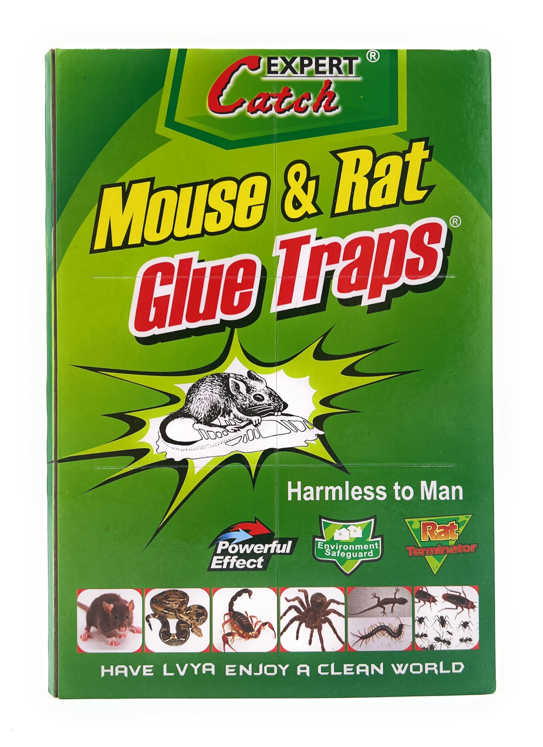 VIO Expert Catch Sticky Glue Trap Board for Rats, Mice, Cockroaches, Spiders, Bugs, Pests, Ants, Non-toxic Eco-Friendly Bugs Pest Catcher for Indoor and Outdoor Use (Pack of 5)