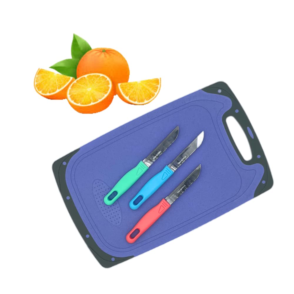 VIO 12 Piece Stainless Steel Daily Use Knives, Multicolored Super Sharp Blade Kitchen Knives, Fruit Knife for Slicing, Cutting, Chopping, Carving, Dishwasher Safe, 18.5 Centimeter