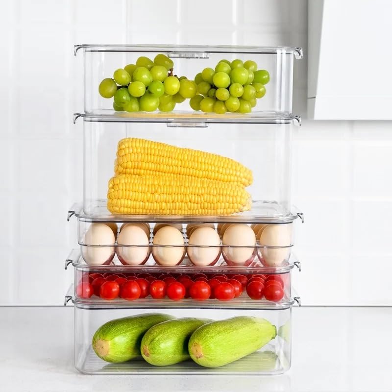 VIO Egg Holder for Refrigerator, Reusable Plastic Egg Organiser, Plastic Egg Storage Container, Clear Stackable Egg Tray with Lid, Clear Fridge Storage Box, Holds 24 Eggs (Clear-Blue Crisper)